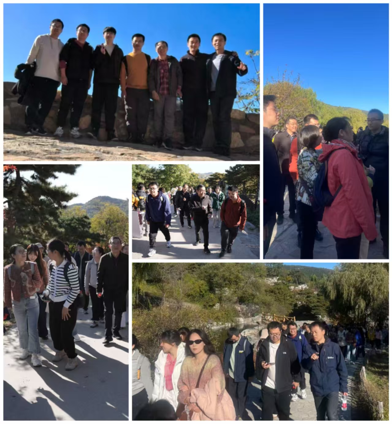 秋游拼图.jpg